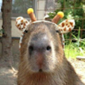 Meet your Posher, Elisa hope